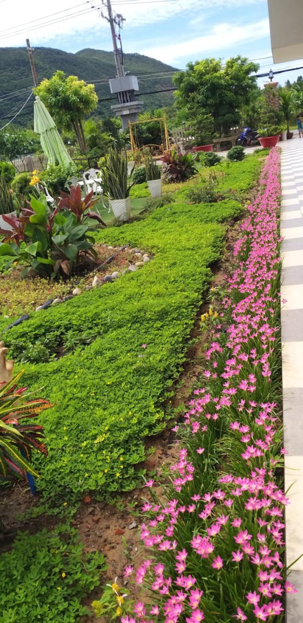 الشقق الفندقية Chi Khu Co Ongفي  Garden House Con Dao المظهر الخارجي الصورة